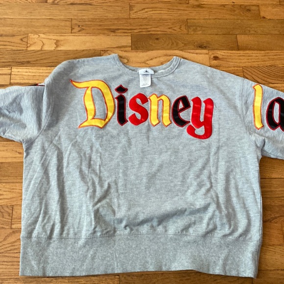 Disney Tops - Disneyland Disney Parks sweatshirt with appliqué.  Embroidery.